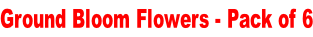 Ground Bloom Flowers - Pack of 6